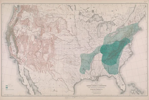 アメリカの森林地図 — ストック写真