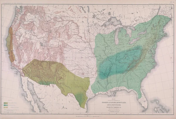 Forest map of America.