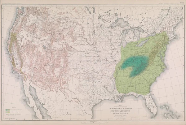 Leśna Mapa Ameryki — Zdjęcie stockowe