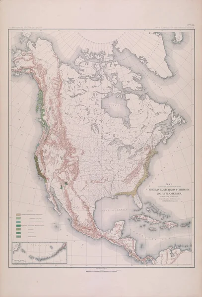 Leśna Mapa Ameryki — Zdjęcie stockowe