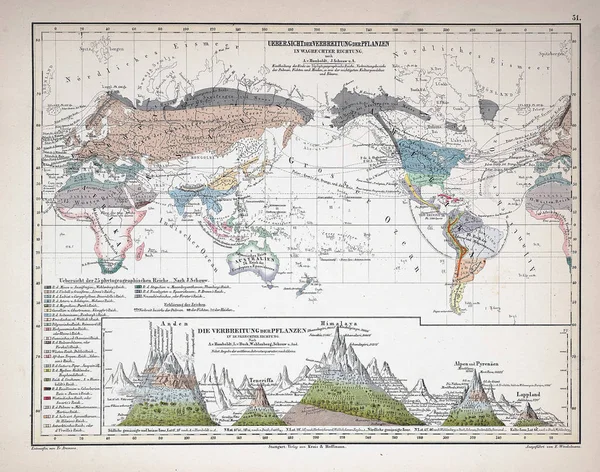 Atlas Infographics Old Image — Stock Photo, Image