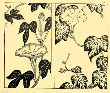 Japonya sanatı. Retro illüstrasyon