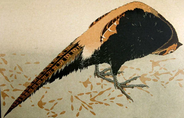 Japon Art Illustration Rétro — Photo