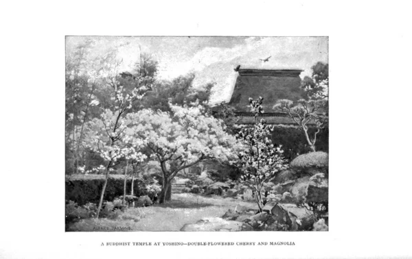 Τέχνη Της Ιαπωνίας Παλιά Απεικόνιση — Φωτογραφία Αρχείου