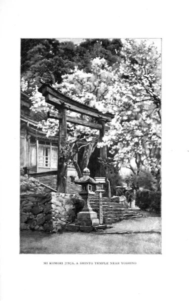 Japan Art Oude Illustratie — Stockfoto