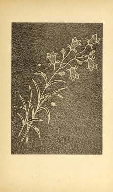 Ciltçilik. Retro ve eski görüntü