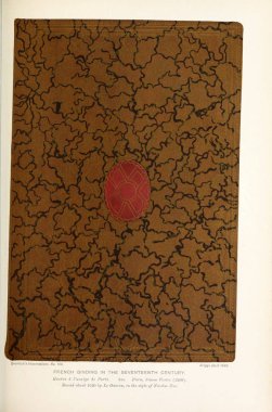 Ciltçilik. Retro ve eski görüntü