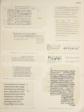 Ciltçilik. Retro ve eski görüntü