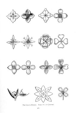  Hıristiyan illüstrasyon. Eski görüntü