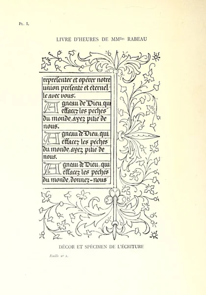 Libro Manoscritto Ornamento Elemento Decorativo — Foto Stock