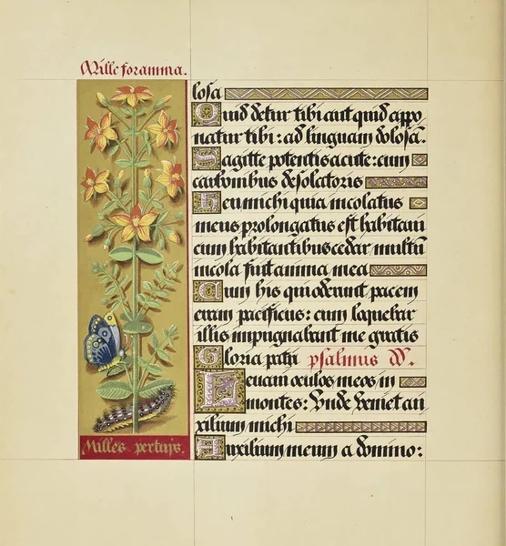 Книга Рукописей Старое Изображение — стоковое фото