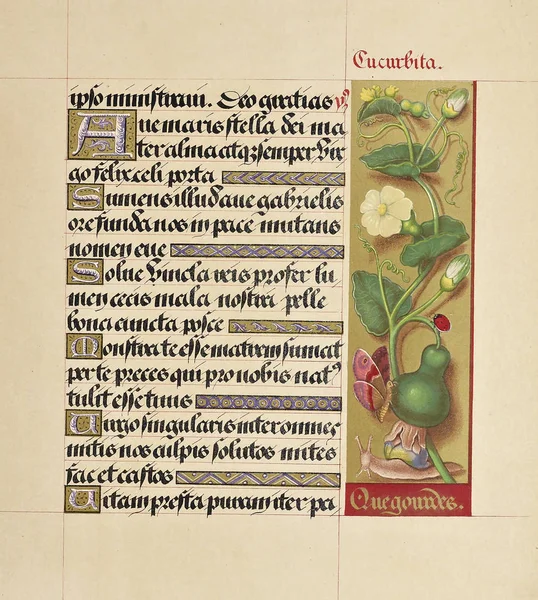 Книга Рукописей Старое Изображение — стоковое фото
