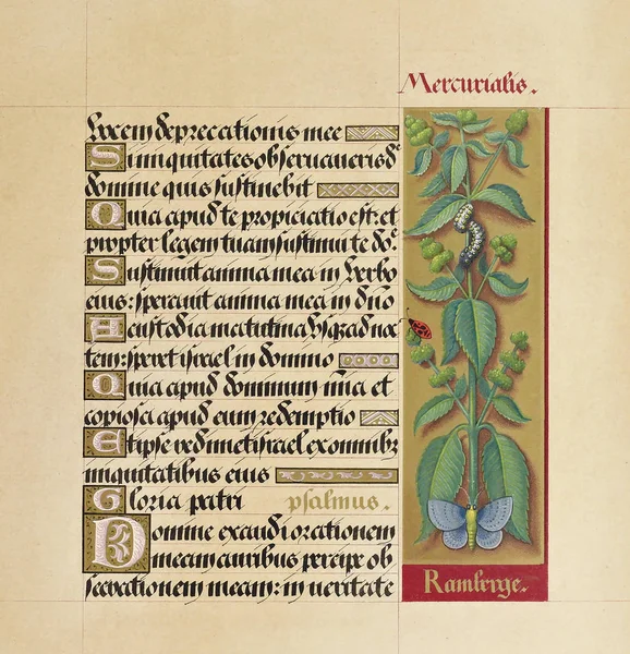 Livro Manuscritos Imagem Antiga — Fotografia de Stock