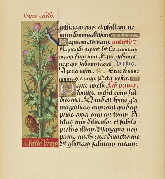 Manuscript Boek Oude Afbeelding — Stockfoto