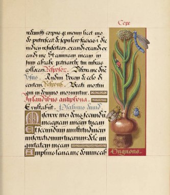 El yazması kitap. Eski görüntü