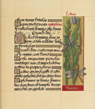 El yazması kitap. Eski görüntü