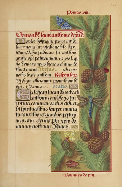 Libro Manuscritos Imagen Antigua — Foto de Stock