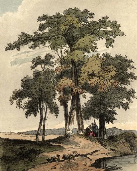 Amerika'nın doğası. Eski görüntü