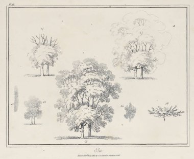 Amerika'nın doğası. Eski görüntü