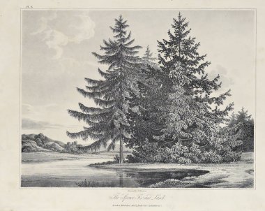 Amerika'nın doğası. Eski görüntü