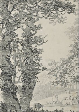 Amerika'nın doğası. Eski görüntü