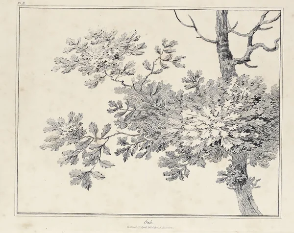 Amerika'nın doğası. Eski görüntü