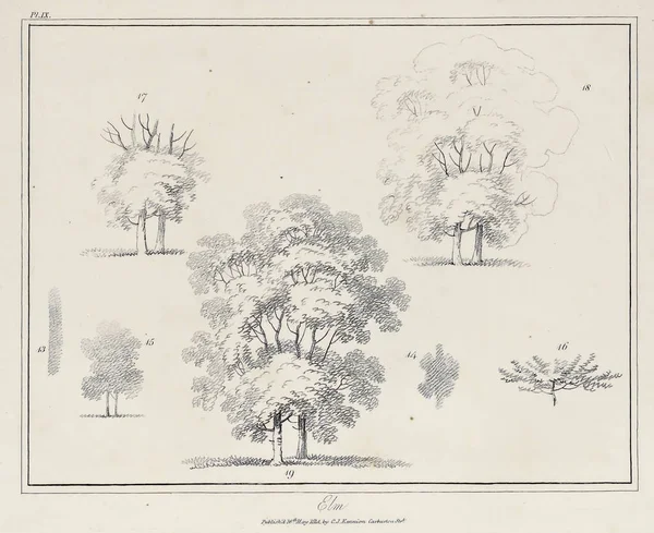 Amerika'nın doğası. Eski görüntü