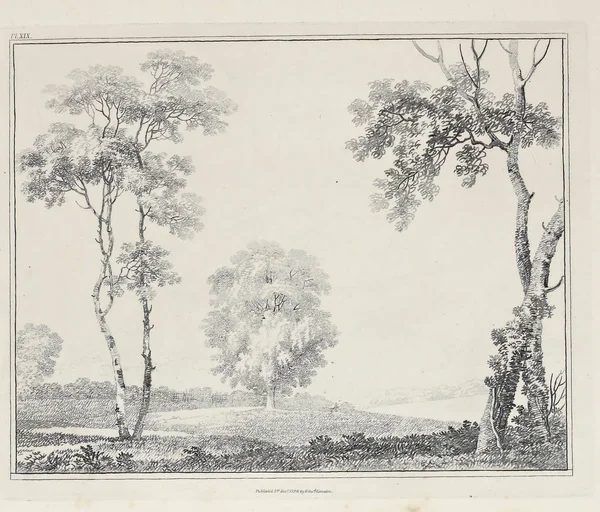 Amerika'nın doğası. Eski görüntü