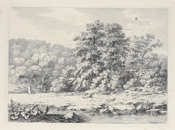 Amerika'nın doğası. Eski görüntü