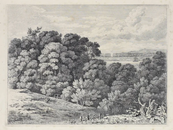 Amerika'nın doğası. Eski görüntü