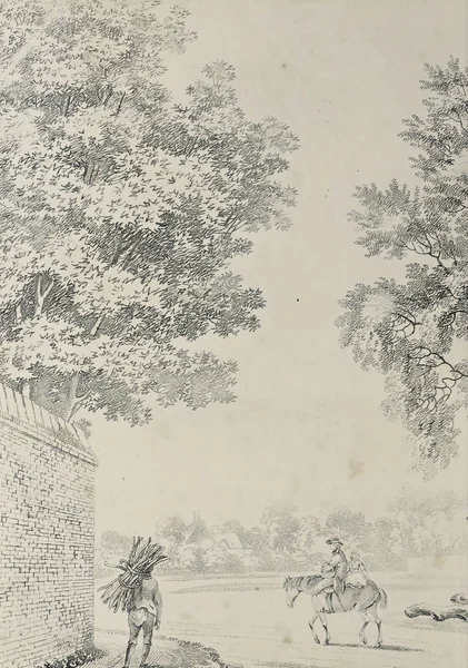 Amerika'nın doğası. Eski görüntü