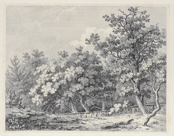 Amerika'nın doğası. Eski görüntü