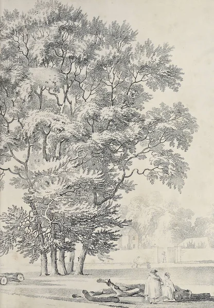 Amerika'nın doğası. Eski görüntü