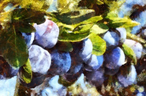 Painted Image Plum Branch — Stock Photo, Image