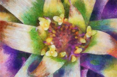 Çiçek arka plan, Sanat unsuru. Suluboya.