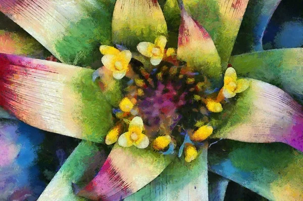 花の背景 アート要素 — ストック写真