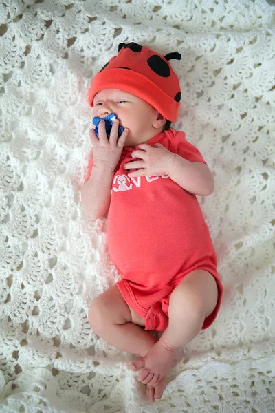 Bebê peito em kit de corpo vermelho e tampa vermelha com chifres no backgrou Imagens Royalty-Free