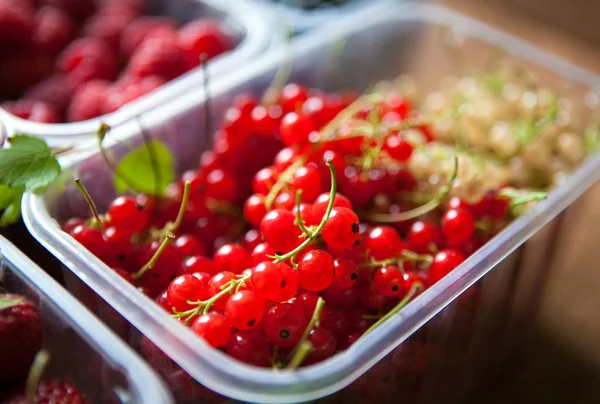 Belas bagas de verão em sortimento: groselha, morango, ras Imagem De Stock