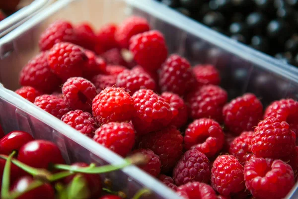 Belas bagas de verão em sortimento: groselha, morango, ras Imagem De Stock