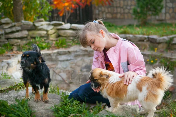 可爱的女孩十几岁的粉红色夹克抚摸一个红色的狗在 bac 图库照片