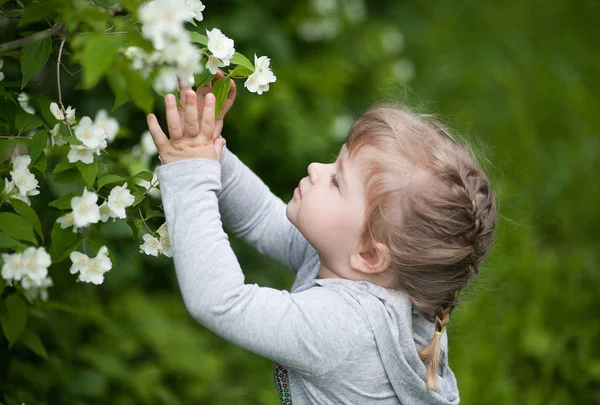 Little girl in spring on green background oklo jasmine bush — Stock Photo, Image