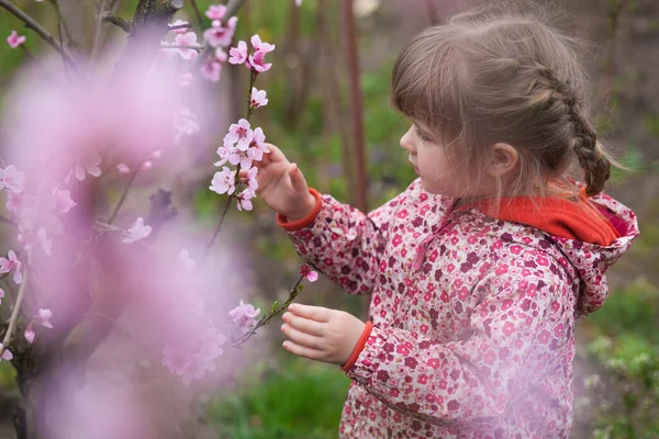 Klein Meisje Een Roze Jasje Een Achtergrond Van Lente Bloei — Stockfoto