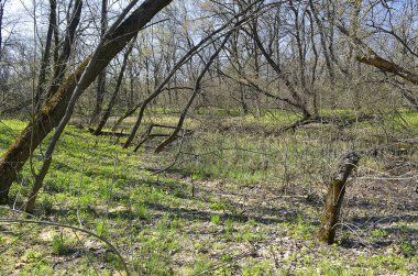 Tula şehir ağırlıklı olarak Nehri'nin Samara, vergisel Dnepropetrovsk 27 km Dinyeper Nehri'nin sol sağ kıyısında yer alan.