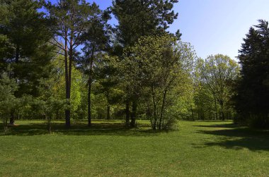 Ulusal dendroloji park 