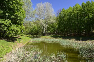 Ulusal dendroloji park 