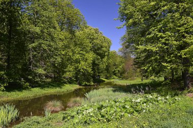 Ulusal dendroloji park 