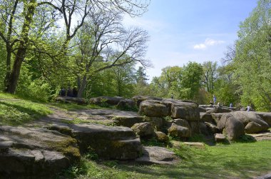Ulusal dendroloji park 