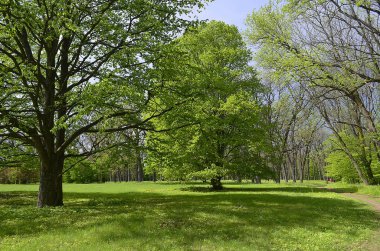Ulusal dendroloji park 