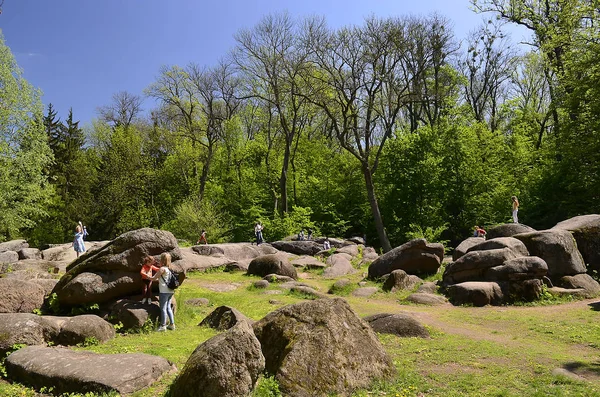 Národní Dendrologický Park Sofijivka Umani Ukrajinsky Sofiivka Arboretum Vědecký Výzkumný — Stock fotografie