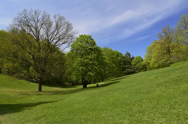 Parque Dendrológico Nacional Sofiyivka Sofiivka Ucraniano Arboreto Instituto Investigación Científica — Foto de Stock